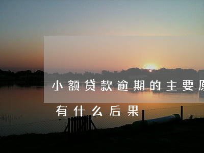 小额贷款逾期的主要原因(小额贷款逾期了会有什么后果)