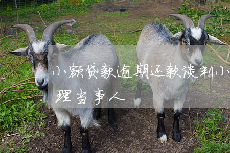 小额贷款逾期还款谈判(小额信贷逾期怎么处理当事人)