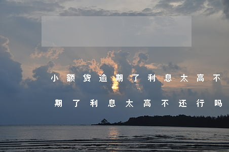 小额贷逾期了利息太高不还行吗-小额贷逾期了利息太高不还行吗怎么办