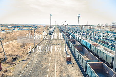 小额贷逾期了被起诉怎么辩护 贷款逾期被起诉如何应诉