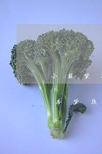 小额贷逾期影响支付宝吗(支付宝逾期影响住房贷款吗)