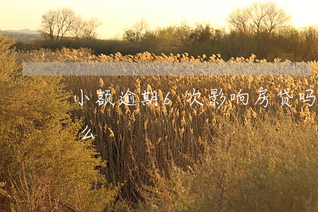 小额逾期6次影响房贷吗(房贷逾期一次严重么)