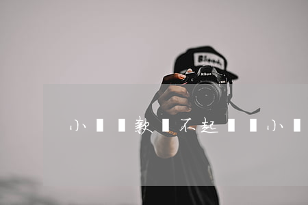 小飛貸款還不起(飛貸小貸上征信嗎)
