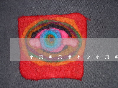 小飛魚只還本金(小飛魚借款有還款成功的嗎)