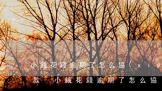 小餓花錢逾期了怎么協(xié)商分期還款-小餓花錢逾期了怎么協(xié)商分期還款呢