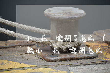 小餓花錢逾期了怎么協(xié)商分期還款(小鵝花錢逾期怎么協(xié)商還款)