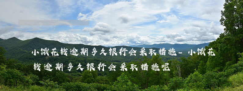小饿花钱逾期多久银行会采取措施-小饿花钱逾期多久银行会采取措施呢