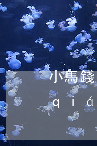 小馬錢(qián)包系列逾期-小馬錢(qián)包怎么樣