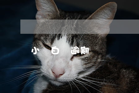 小驢白條逾期