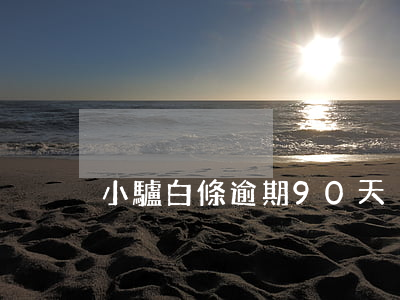 小驢白條逾期90天