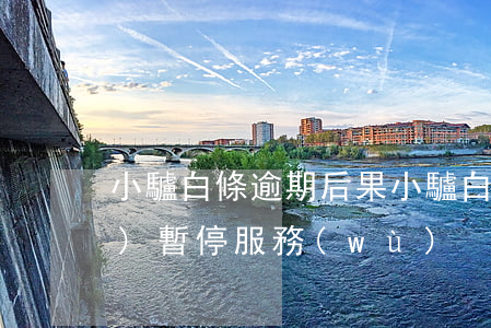 小驢白條逾期后果 小驢白條已經(jīng)暫停服務(wù)