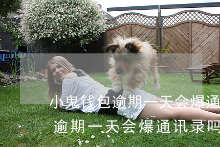小鬼钱包逾期一天会爆通讯录吗-小鬼钱包逾期一天会爆通讯录吗安全吗