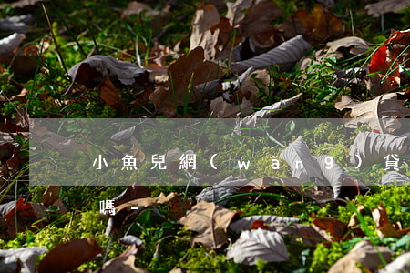 小魚兒網(wǎng)貸還款日還款就可以嗎-
