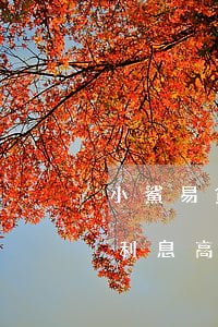小鯊易貸逾期一年要起訴是真的嗎(小鯊易貸利息高嗎)