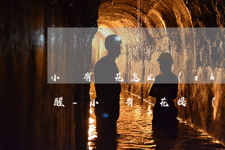 小鵝有錢花怎么設(shè)置還款微信提醒-小鵝有錢花提現(xiàn)要收利息嗎