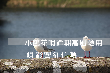小鵝花唄逾期高風險用戶怎么處理-小鵝花唄影響征信嗎
