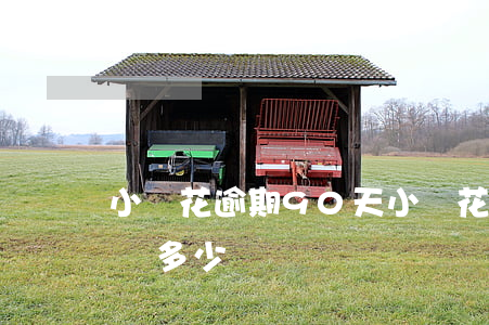 小鵝花逾期90天(小鵝花逾期8000需要還多少)