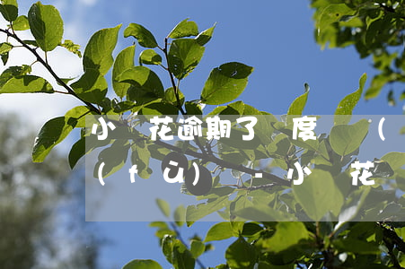 小鵝花逾期了額度凍結(jié)還能恢復(fù)嗎-小鵝花錢逾期額度凍結(jié)怎么解凍