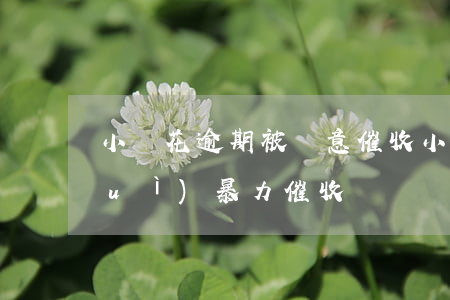 小鵝花逾期被惡意催收(小鵝花錢逾期會(huì)暴力催收嗎)