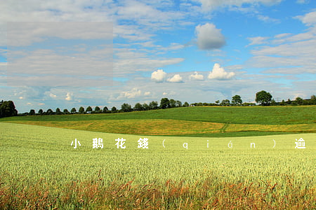 小鵝花錢(qián)逾期三天還款