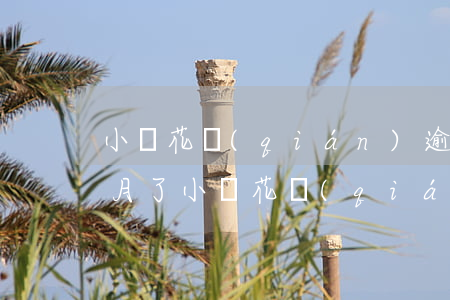 小鵝花錢(qián)逾期了6個(gè)月了（小鵝花錢(qián)逾期5個(gè)月了）