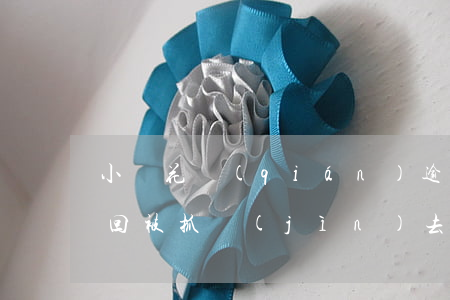 小鵝花錢(qián)逾期沒(méi)還回被抓進(jìn)去嗎-小鵝花錢(qián)逾期了會(huì)被抓嗎