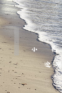 小鵝花錢1600元逾期了怎么辦-小鵝花錢逾期八千怎么辦