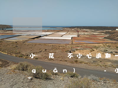 小鵝花錢不小心逾期一天會(huì)關(guān)閉嗎-小鵝花錢不小心逾期一天會(huì)關(guān)閉嗎是真的嗎