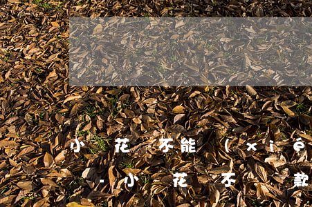 小鵝花錢不能協(xié)商還款可以投訴嗎-小鵝花錢不讓還款