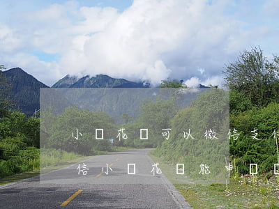 小鵝花錢可以微信支付還款嗎（支付寶逾期微信小鵝花錢能申請嗎）