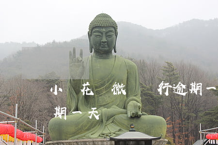 小鵝花錢微眾銀行逾期一天(微信小鵝花錢逾期一天)