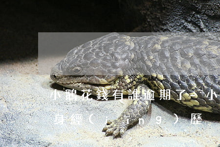 小鵝花錢有誰逾期了-小鵝花錢逾期2年親身經(jīng)歷