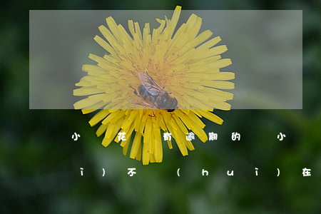小鵝花錢有逾期的嗎（小鵝花錢逾期會(huì)不會(huì)在微信扣款）