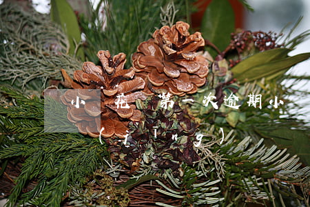 小鵝花錢第一次逾期 小鵝花錢逾期2年親身經(jīng)歷