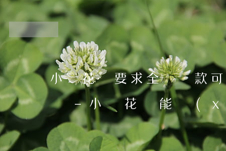 小鵝花錢要求全額還款可以協(xié)商嗎-小鵝花錢能協(xié)商還款嗎