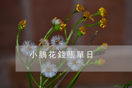 小鵝花錢賬單日