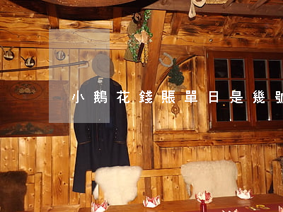 小鵝花錢賬單日是幾號(小鵝花錢是幾號還款)