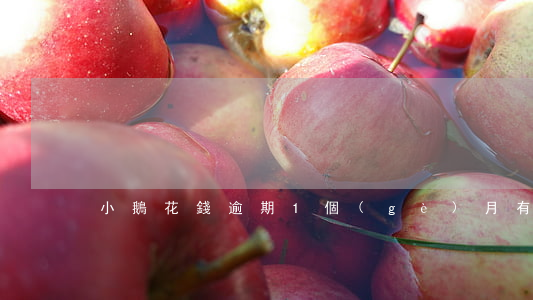小鵝花錢逾期1個(gè)月有什么后果-