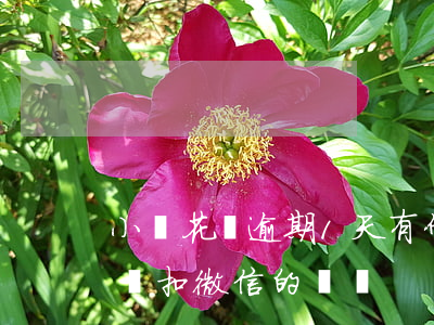 小鵝花錢逾期1天有什么影響（小鵝逾期以后會扣微信的錢嗎）