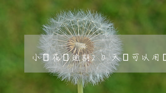 小鵝花錢逾期20天還可以用嗎-