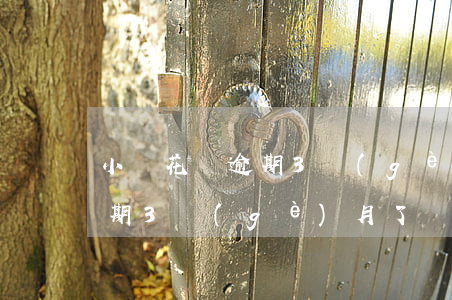 小鵝花錢逾期3個(gè)月了(小鵝花錢逾期3個(gè)月了)