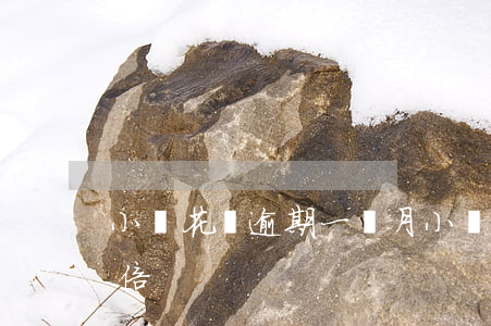 小鵝花錢逾期一個月（小鵝花錢逾期半年加一倍）