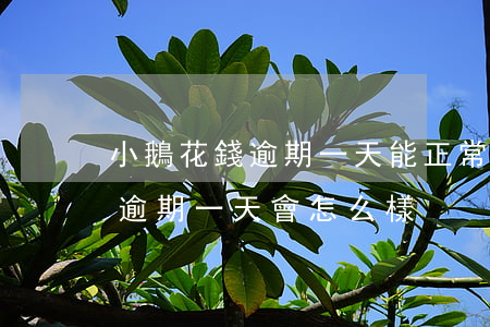 小鵝花錢逾期一天能正常使用嗎-小鵝花錢逾期一天會怎么樣