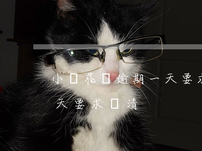 小鵝花錢逾期一天要求還清（小鵝花錢逾期一天要求還清）