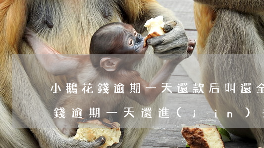 小鵝花錢逾期一天還款后叫還全部-小鵝花錢逾期一天還進(jìn)去還能用嗎