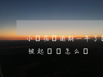 小鵝花錢逾期一年了會被起訴(小鵝花錢逾期被起訴會怎么樣)