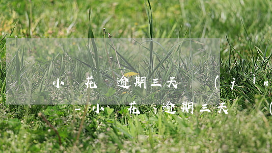 小鵝花錢逾期三天還進(jìn)去還能用嗎-小鵝花錢逾期三天還進(jìn)去還能用嗎是真的嗎