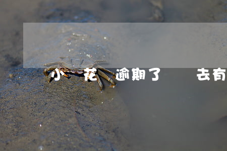 小鵝花錢逾期了還進去有額度嗎