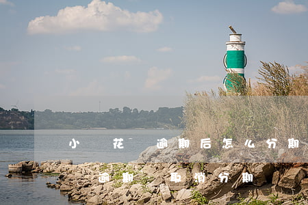 小鵝花錢逾期后怎么分期12個月-小鵝花錢逾期會取消分期嗎