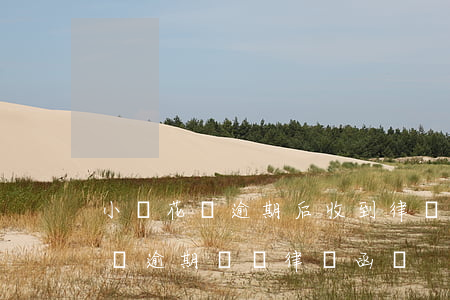 小鵝花錢逾期后收到律師函怎么辦-小鵝花錢逾期會發律師函嗎
